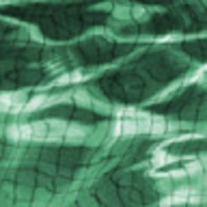 Meet your Posher, Elena